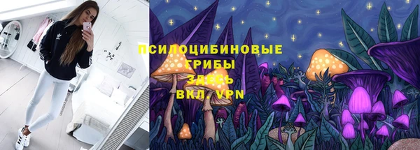 прущая мука Рославль