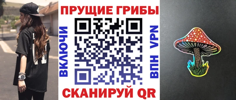 Галлюциногенные грибы Cubensis  Михайловск 
